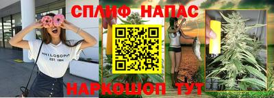 СК Чапаевск