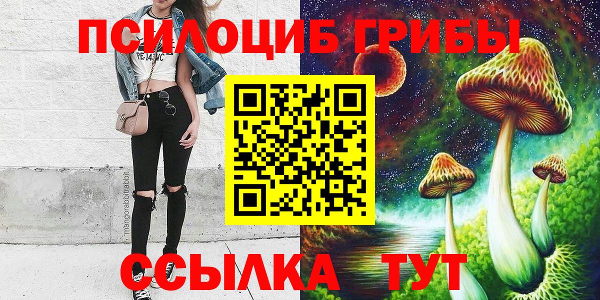 Псилоцибиновые грибы Cubensis Грязи